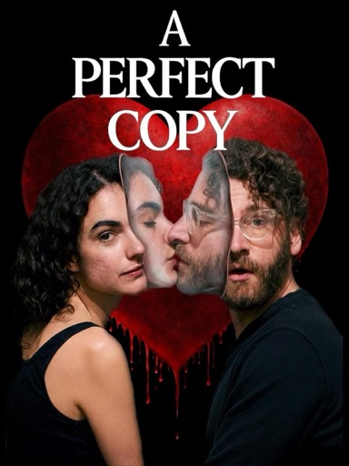 A Perfect Copy izle