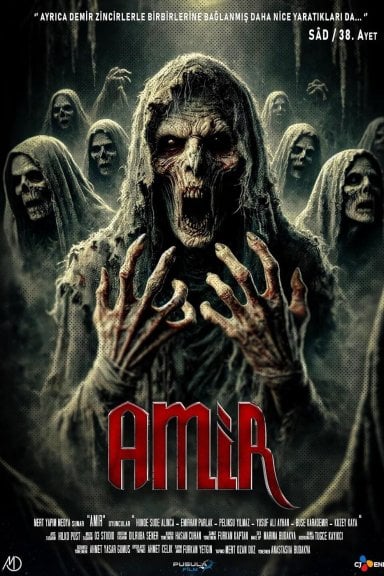 Amir izle