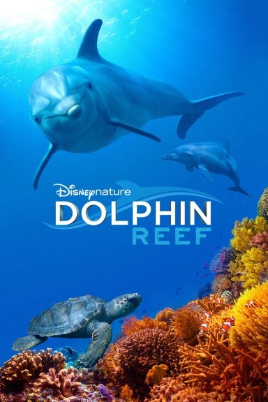 Dolphin Reef izle