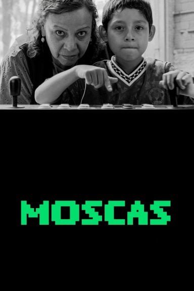 Moscas izle