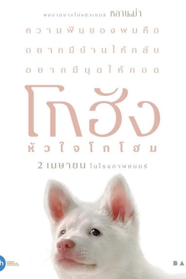 โกฮัง..หัวใจโกโฮม izle