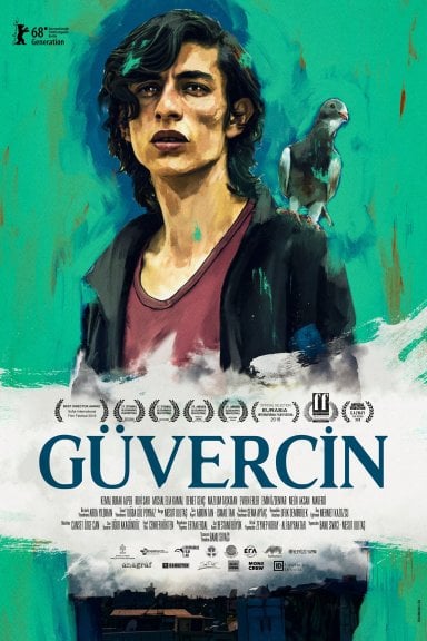 Güvercin izle