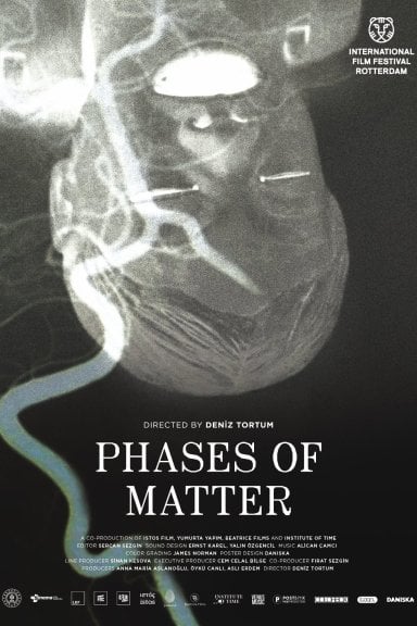 Phases of Matter izle