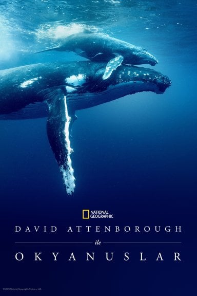 Ocean with David Attenborough izle