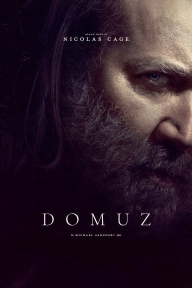 Pig izle