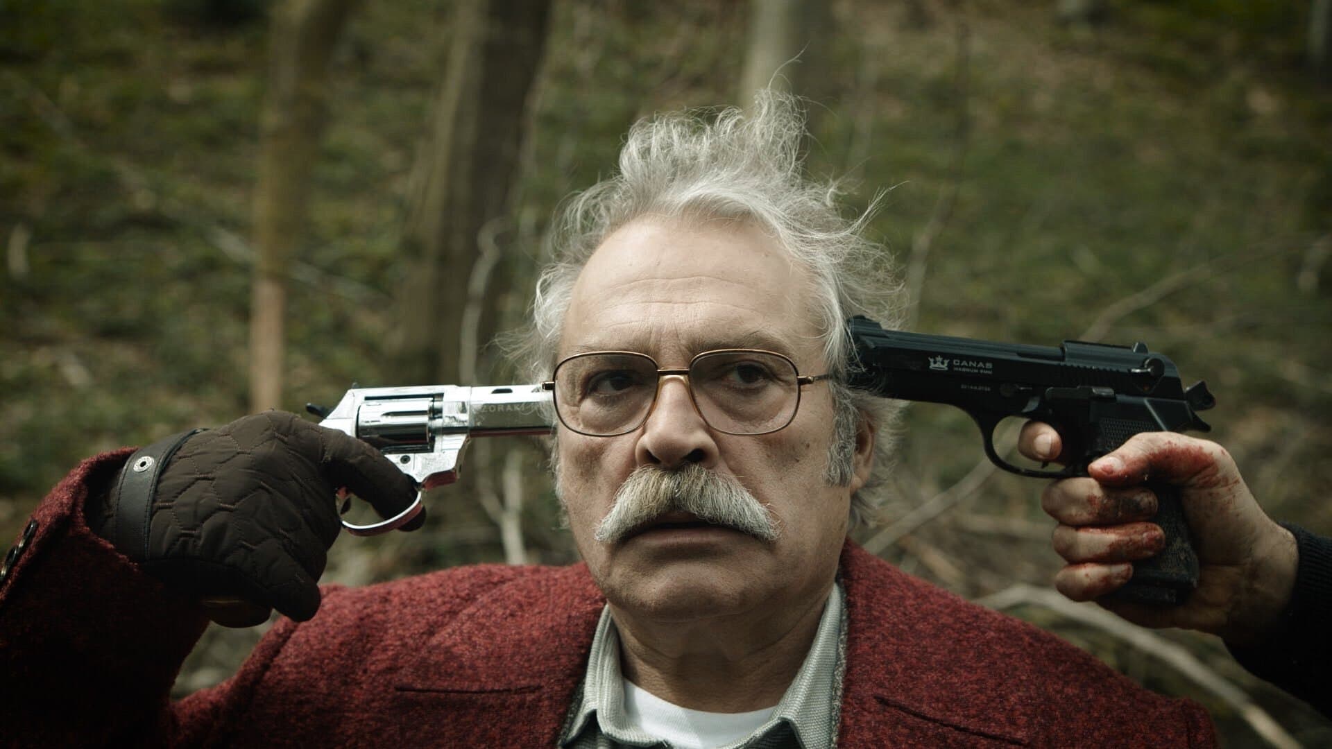 Şahsiyet izle