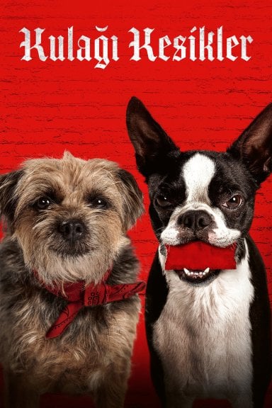 Strays izle