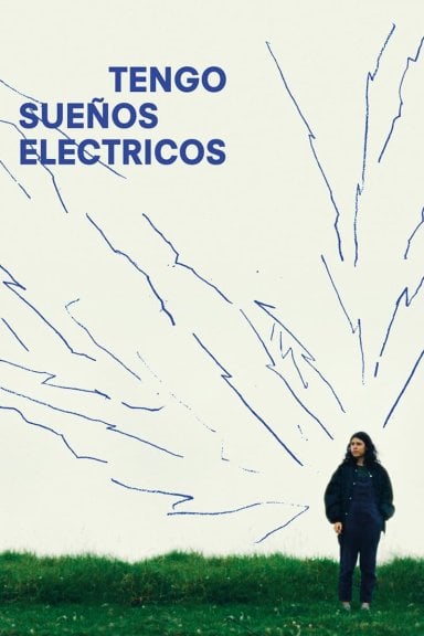 Elektrikli Düşlerim izle